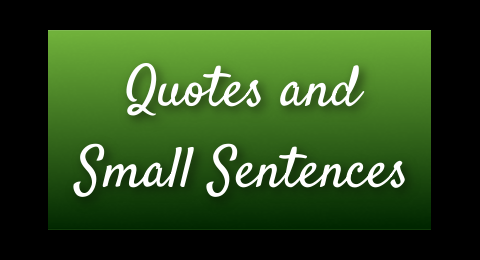 Quotes and Small Sentences